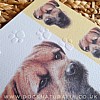 Border Terrier Card Simply Elegant Range (Close Up)